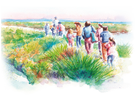 visuel-saveur-nature